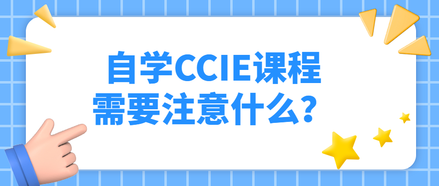 1675152483573462.jpg 25.jpg